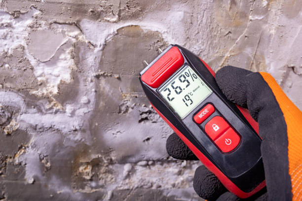 Best Certified Mold Removal  in St John, KS