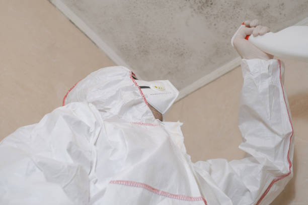 Best Mold Cleaning Services  in St John, KS
